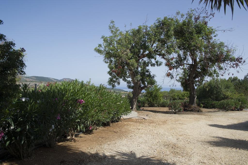 Akamas Edge Villas Polis Rum bild